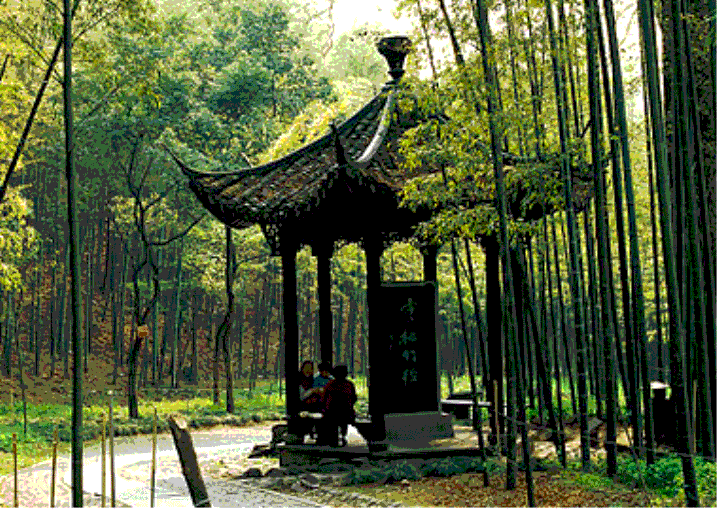 hth中国